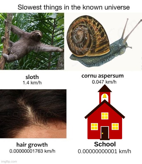 Slowest things | School; 0.00000000001 km/h | image tagged in slowest things | made w/ Imgflip meme maker