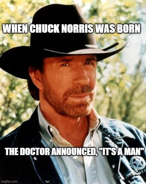 Chuck Norris | WHEN CHUCK NORRIS WAS BORN; THE DOCTOR ANNOUNCED, "IT'S A MAN" | image tagged in memes,chuck norris,chuck norris fact | made w/ Imgflip meme maker