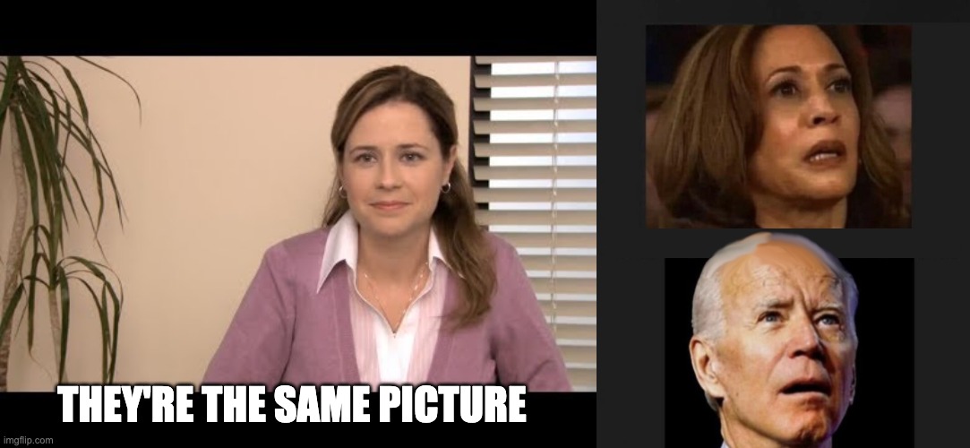 THEY'RE THE SAME PICTURE | image tagged in they're the same picture | made w/ Imgflip meme maker