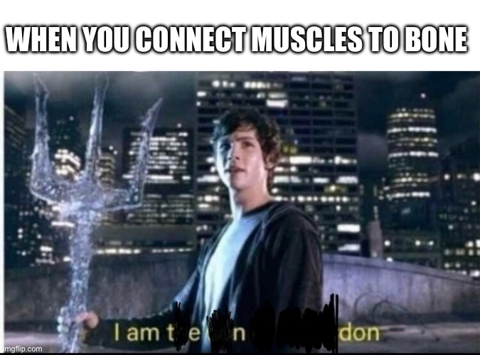 I am tendon | WHEN YOU CONNECT MUSCLES TO BONE | made w/ Imgflip meme maker