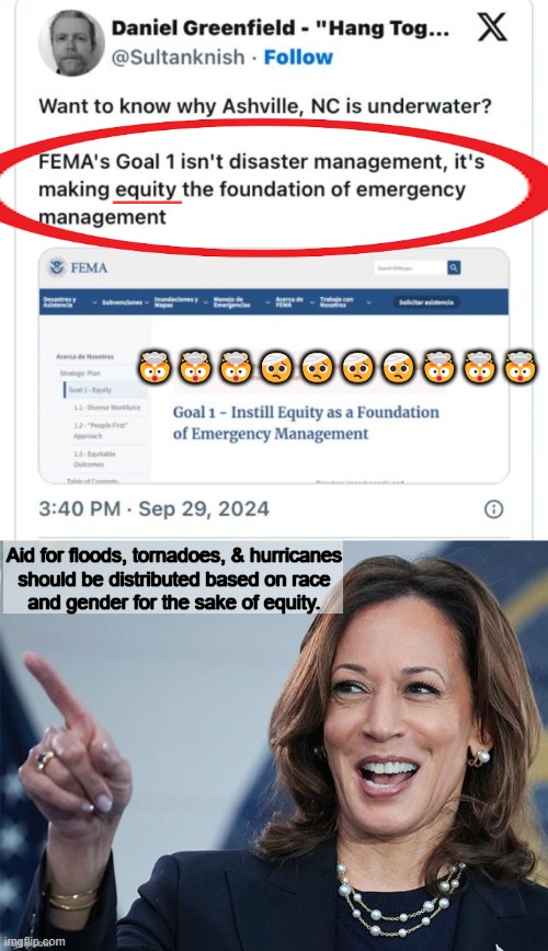 Race & gender have NO PLACE in disaster management. People are PEOPLE & you render aid to people! | ____; 🤯🤯🤯🤕🤕🤕🤕🤯🤯🤯; Aid for floods, tornadoes, & hurricanes 

should be distributed based on race 

and gender for the sake of equity. | image tagged in fema,democrats,delusional,race,gender,equity | made w/ Imgflip meme maker