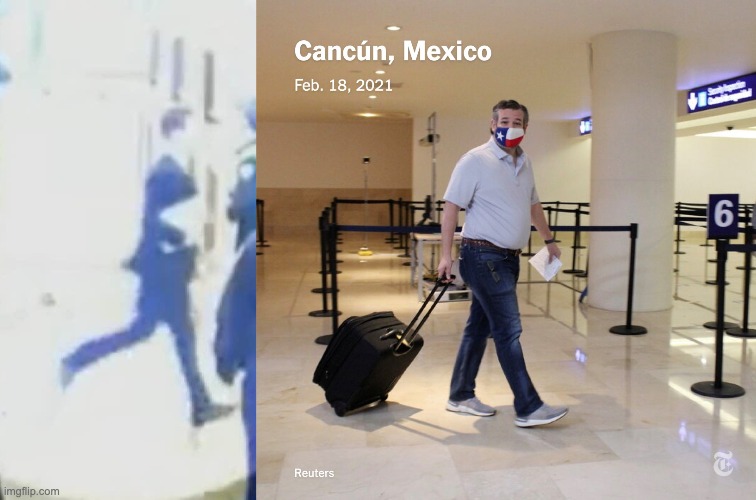 image tagged in josh hawley running like a little bitch,ted cruz cancun | made w/ Imgflip meme maker