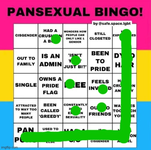 Not pan but fck it | image tagged in pansexual bingo | made w/ Imgflip meme maker