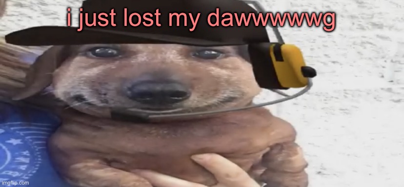 chucklenuts | i just lost my dawwwwwg | image tagged in chucklenuts | made w/ Imgflip meme maker