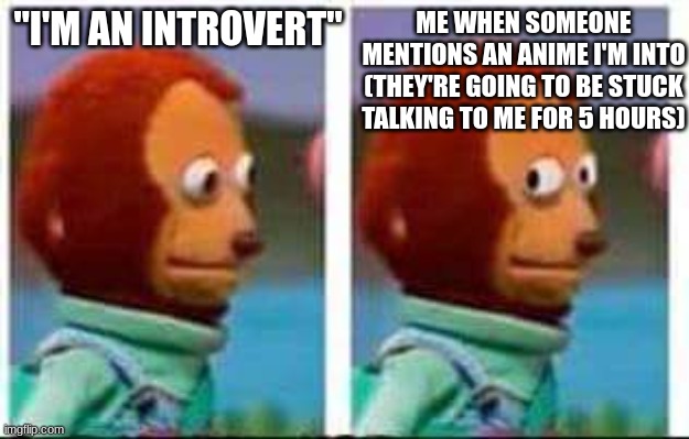 Monkey Puppet | ME WHEN SOMEONE MENTIONS AN ANIME I'M INTO (THEY'RE GOING TO BE STUCK TALKING TO ME FOR 5 HOURS); "I'M AN INTROVERT" | image tagged in monkey puppet | made w/ Imgflip meme maker