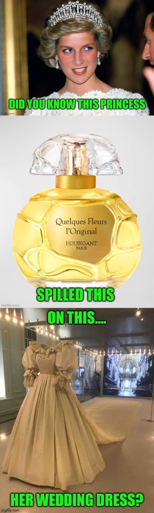 Nobody is perfect | image tagged in perfume,wedding dress,spilled,royal family,princess diana,wales | made w/ Imgflip meme maker