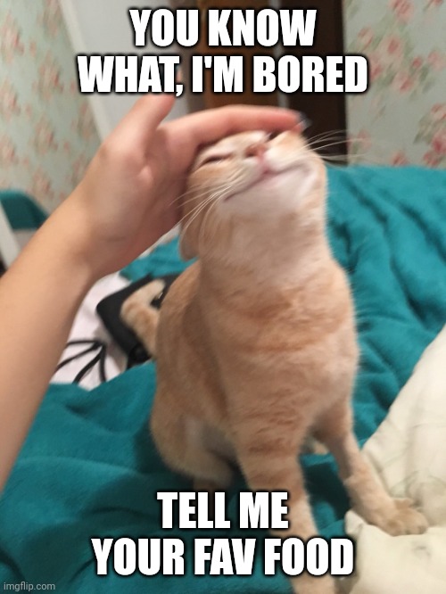 :3 | YOU KNOW WHAT, I'M BORED; TELL ME YOUR FAV FOOD | image tagged in cat pat | made w/ Imgflip meme maker