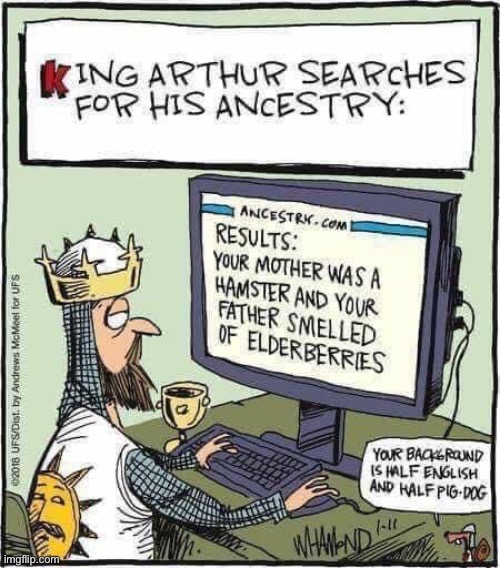 King Arthur | image tagged in king arthur,monty python,ancestry | made w/ Imgflip meme maker