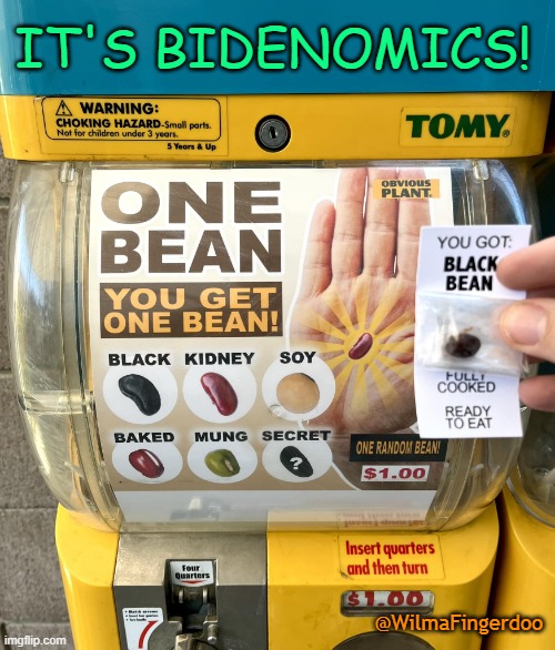 One Bean | IT'S BIDENOMICS! @WilmaFingerdoo | image tagged in one bean,biden,kamala,bidenomics | made w/ Imgflip meme maker