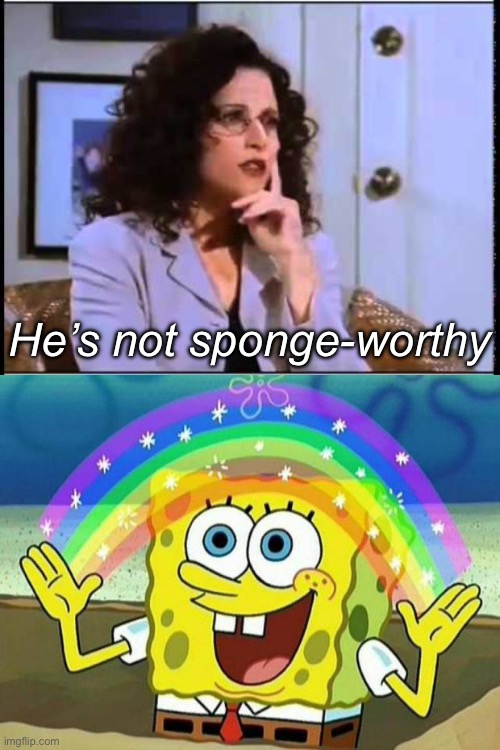 Not worthy | He’s not sponge-worthy | image tagged in elaine sponge,spongebob rainbow,worthy | made w/ Imgflip meme maker