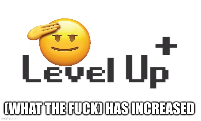 Level up  | (WHAT THE FUCK) HAS INCREASED | image tagged in level up | made w/ Imgflip meme maker