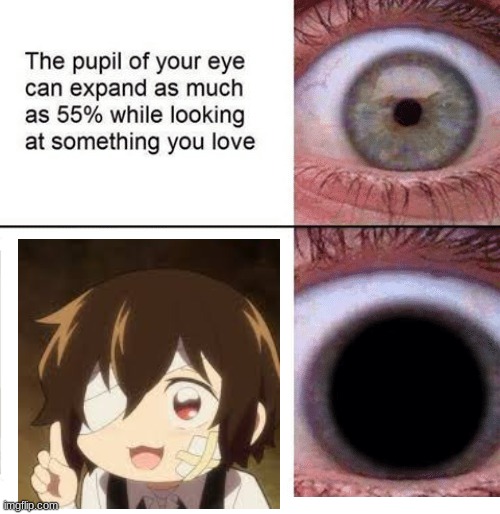 the pupil of your eye can expand | image tagged in the pupil of your eye can expand | made w/ Imgflip meme maker