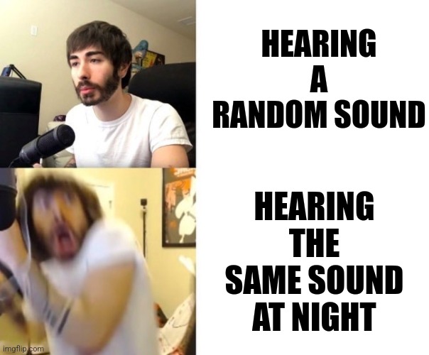 Based on a true story | HEARING A RANDOM SOUND; HEARING THE SAME SOUND AT NIGHT | image tagged in penguinz0,night | made w/ Imgflip meme maker