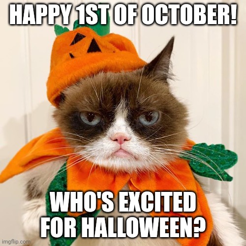 What's your costume plan? | HAPPY 1ST OF OCTOBER! WHO'S EXCITED FOR HALLOWEEN? | image tagged in grumpy cat halloween,fun,memes,october,halloween,oh wow are you actually reading these tags | made w/ Imgflip meme maker