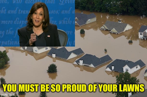 Flood | YOU MUST BE SO PROUD OF YOUR LAWNS | image tagged in flood | made w/ Imgflip meme maker