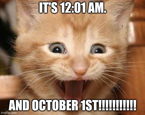 time to start the spooky memes.hehe!! :3 | IT'S 12:01 AM. AND OCTOBER 1ST!!!!!!!!!!! | image tagged in memes,excited cat,october,holloween | made w/ Imgflip meme maker