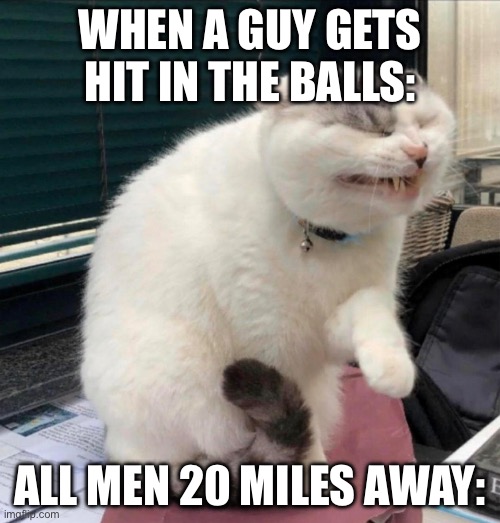 When I watch football, I can FEEL the pain! | WHEN A GUY GETS HIT IN THE BALLS:; ALL MEN 20 MILES AWAY: | image tagged in meme,relatable,shitpos,real,funny | made w/ Imgflip meme maker