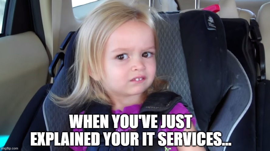 girl in car seat | WHEN YOU'VE JUST EXPLAINED YOUR IT SERVICES... | image tagged in girl in car seat | made w/ Imgflip meme maker