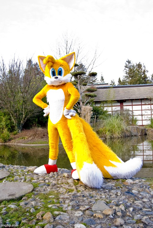 Fursuit tails (photographer : aoi-kitsune) | made w/ Imgflip meme maker