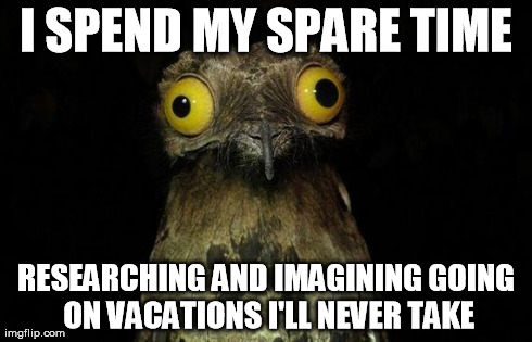 Weird Stuff I Do Potoo Meme | I SPEND MY SPARE TIME RESEARCHING AND IMAGINING GOING ON VACATIONS I'LL NEVER TAKE | image tagged in memes,weird stuff i do potoo,AdviceAnimals | made w/ Imgflip meme maker