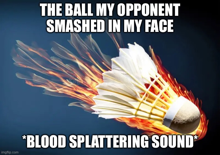 ow | THE BALL MY OPPONENT SMASHED IN MY FACE; *BLOOD SPLATTERING SOUND* | image tagged in sport,badminton,meme,funny | made w/ Imgflip meme maker