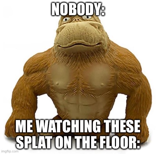 He fell to the mat with a splat | NOBODY:; ME WATCHING THESE SPLAT ON THE FLOOR: | image tagged in meme,monkey,funny,shitpost | made w/ Imgflip meme maker