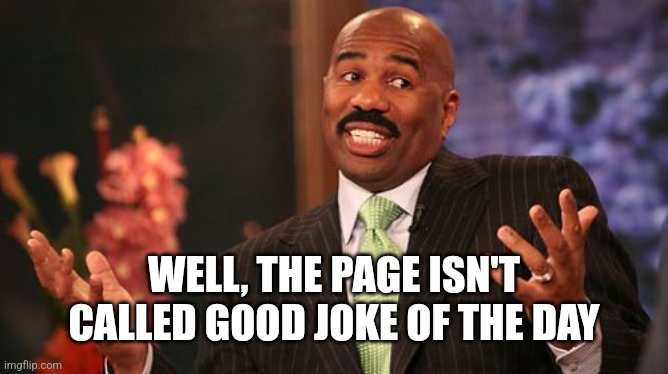 Steve Harvey Meme | WELL, THE PAGE ISN'T CALLED GOOD JOKE OF THE DAY | image tagged in memes,steve harvey | made w/ Imgflip meme maker