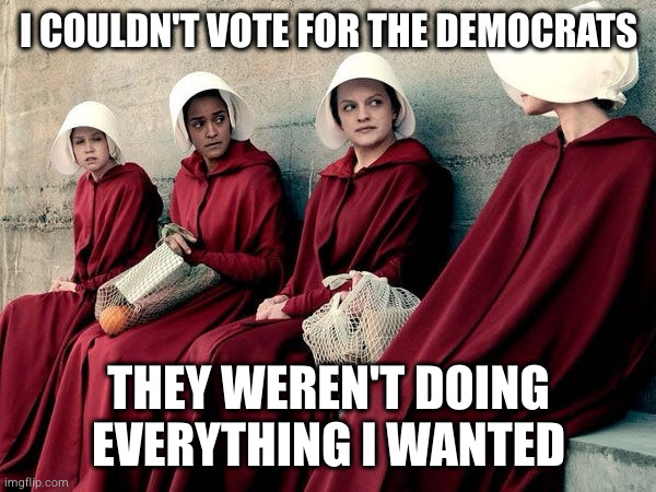 Handmaid's Tale | I COULDN'T VOTE FOR THE DEMOCRATS; THEY WEREN'T DOING EVERYTHING I WANTED | image tagged in handmaid's tale | made w/ Imgflip meme maker