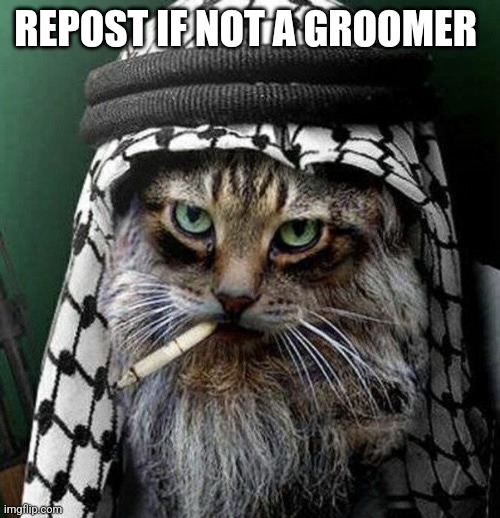 i saw what you deleted | REPOST IF NOT A GROOMER | image tagged in i saw what you deleted | made w/ Imgflip meme maker