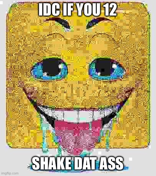 Drooling Stock Emoji Face | IDC IF YOU 12 SHAKE DAT ASS | image tagged in drooling stock emoji face | made w/ Imgflip meme maker
