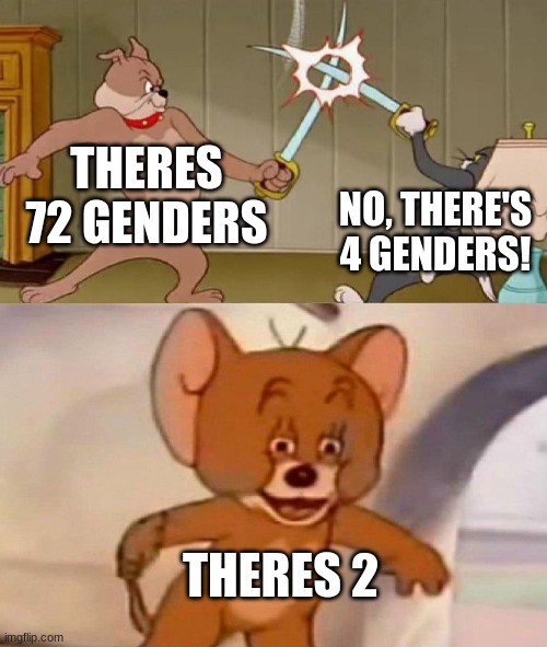 sorry if this is homophobic | THERES 72 GENDERS; NO, THERE'S 4 GENDERS! THERES 2 | image tagged in tom and jerry swordfight | made w/ Imgflip meme maker