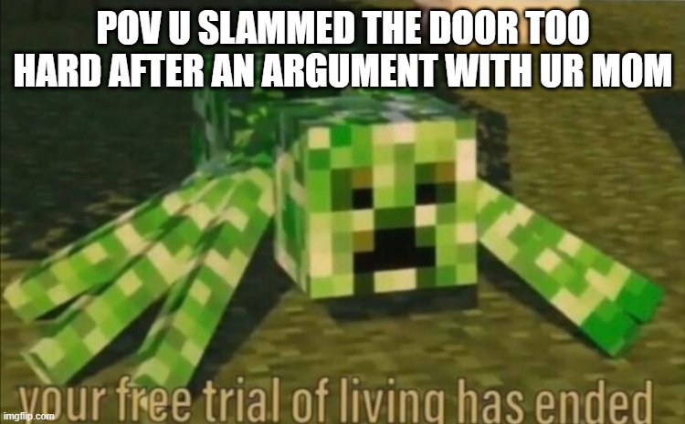 frfr | POV U SLAMMED THE DOOR TOO HARD AFTER AN ARGUMENT WITH UR MOM | image tagged in your free trial of living has ended | made w/ Imgflip meme maker