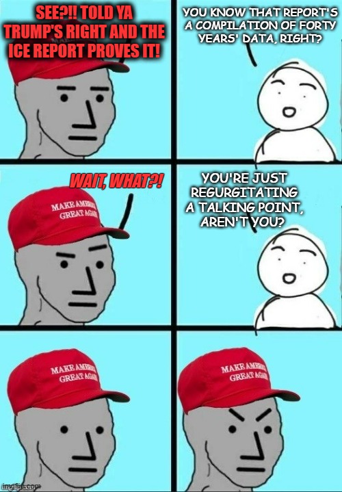 Fun fact: parrots can easily repeat sounds they hear but only operate at about the same intellectual level as a 5 year old | SEE?!! TOLD YA TRUMP'S RIGHT AND THE ICE REPORT PROVES IT! YOU KNOW THAT REPORT'S
A COMPILATION OF FORTY
YEARS' DATA, RIGHT? YOU'RE JUST REGURGITATING A TALKING POINT,
AREN'T YOU? WAIT, WHAT?! | image tagged in maga npc dashed hopes,talking points | made w/ Imgflip meme maker