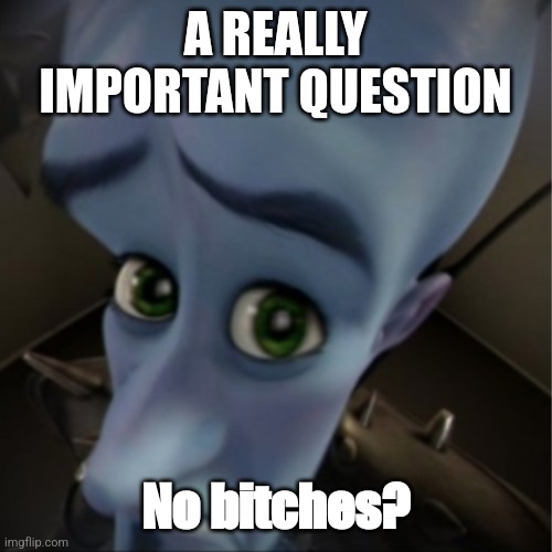 Megamind peeking | A REALLY IMPORTANT QUESTION; No bitches? | image tagged in megamind peeking | made w/ Imgflip meme maker