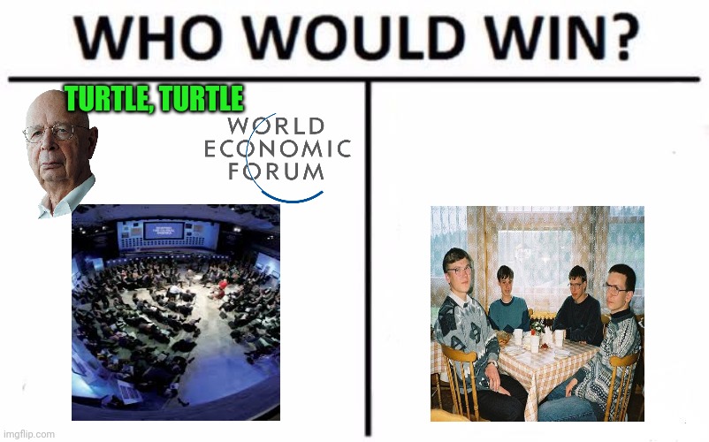 Who Would Win? Meme | TURTLE, TURTLE | image tagged in memes,who would win | made w/ Imgflip meme maker