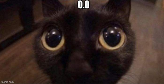 cat | 0.0 | image tagged in skrunkly | made w/ Imgflip meme maker