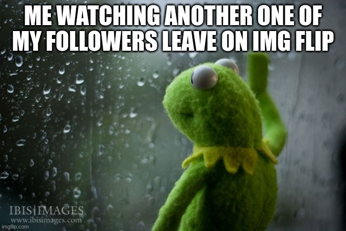 where have all of yall gone :( | ME WATCHING ANOTHER ONE OF MY FOLLOWERS LEAVE ON IMG FLIP | image tagged in kermit window | made w/ Imgflip meme maker