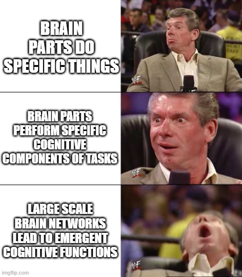 Good better best | BRAIN PARTS DO SPECIFIC THINGS; BRAIN PARTS PERFORM SPECIFIC COGNITIVE COMPONENTS OF TASKS; LARGE SCALE BRAIN NETWORKS LEAD TO EMERGENT COGNITIVE FUNCTIONS | image tagged in good better best | made w/ Imgflip meme maker