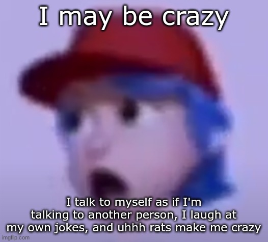 what the silly billy | I may be crazy; I talk to myself as if I'm talking to another person, I laugh at my own jokes, and uhhh rats make me crazy | image tagged in what the silly billy | made w/ Imgflip meme maker