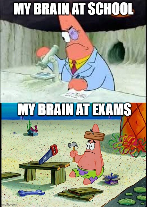 Brain | MY BRAIN AT SCHOOL; MY BRAIN AT EXAMS | image tagged in patrick smart dumb,smart,dumb,brain,exams,school | made w/ Imgflip meme maker