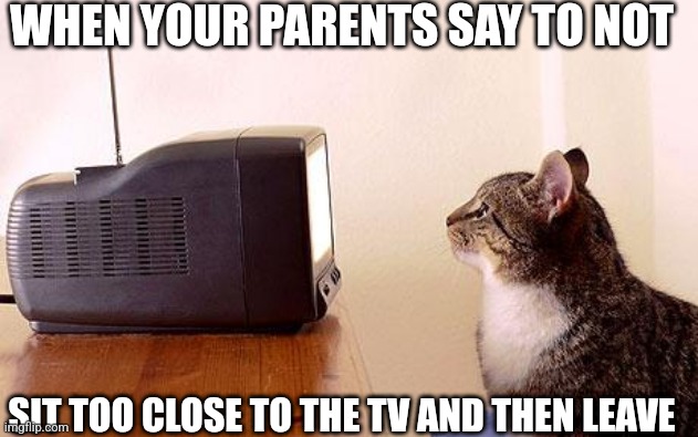 cat watching tv | WHEN YOUR PARENTS SAY TO NOT; SIT TOO CLOSE TO THE TV AND THEN LEAVE | image tagged in cat watching tv | made w/ Imgflip meme maker