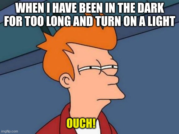 permantly blind | WHEN I HAVE BEEN IN THE DARK FOR TOO LONG AND TURN ON A LIGHT; OUCH! | image tagged in memes,futurama fry | made w/ Imgflip meme maker