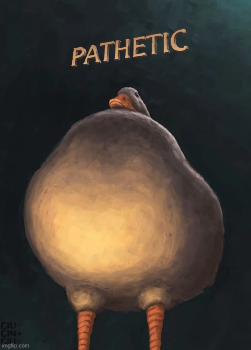 Pathetic duck | image tagged in pathetic duck | made w/ Imgflip meme maker