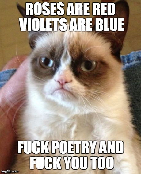 Grumpy Cat Meme | ROSES ARE RED VIOLETS ARE BLUE F**K POETRY AND F**K YOU TOO | image tagged in memes,grumpy cat | made w/ Imgflip meme maker