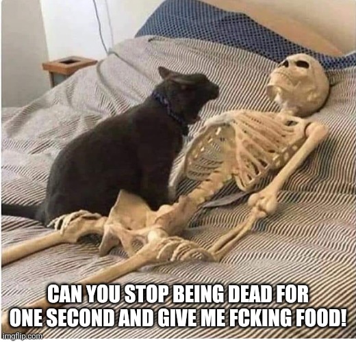 CAN YOU STOP BEING DEAD FOR ONE SECOND AND GIVE ME FCKING FOOD! | image tagged in food,i'm dead | made w/ Imgflip meme maker