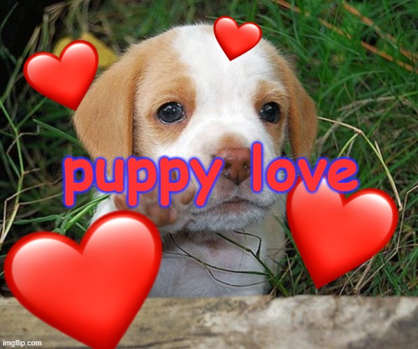 dog puppy bye | puppy love | image tagged in dog puppy bye | made w/ Imgflip meme maker