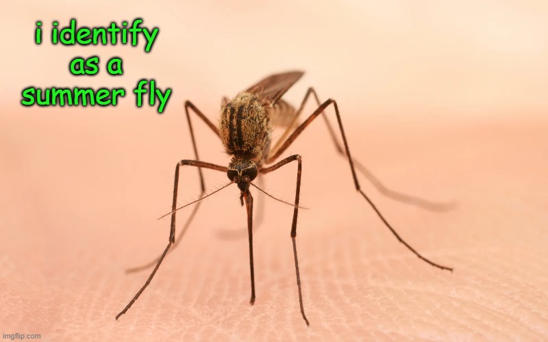 i identify as a summer fly | made w/ Imgflip meme maker