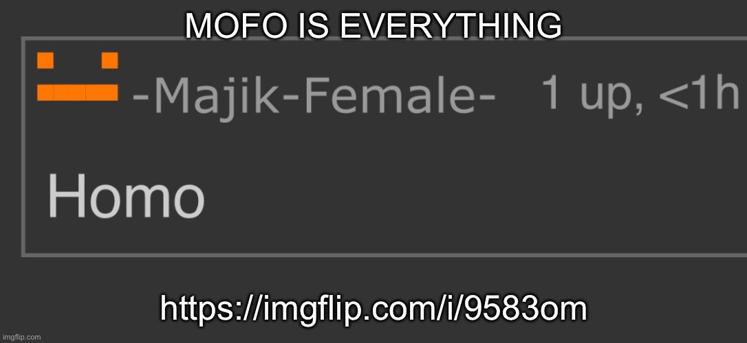 Homo | MOFO IS EVERYTHING; https://imgflip.com/i/9583om | image tagged in homo | made w/ Imgflip meme maker