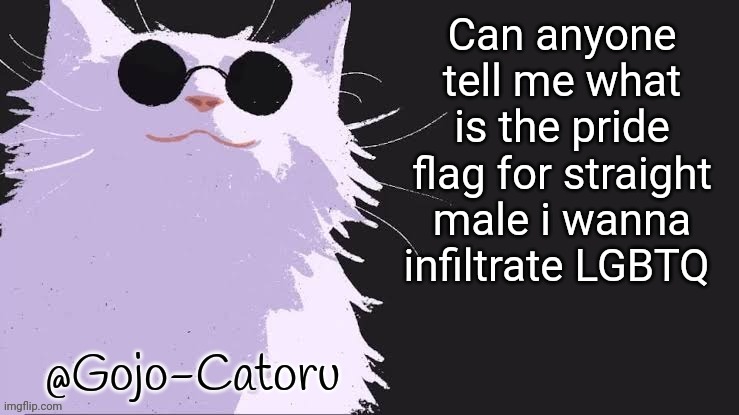 Gojo catoru Announcement Template | Can anyone tell me what is the pride flag for straight male i wanna infiltrate LGBTQ | image tagged in gojo catoru announcement template | made w/ Imgflip meme maker