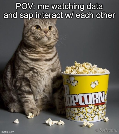 Cat eating popcorn | POV: me watching data and sap interact w/ each other | image tagged in cat eating popcorn | made w/ Imgflip meme maker